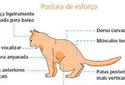 Sinais de obstrução uretral